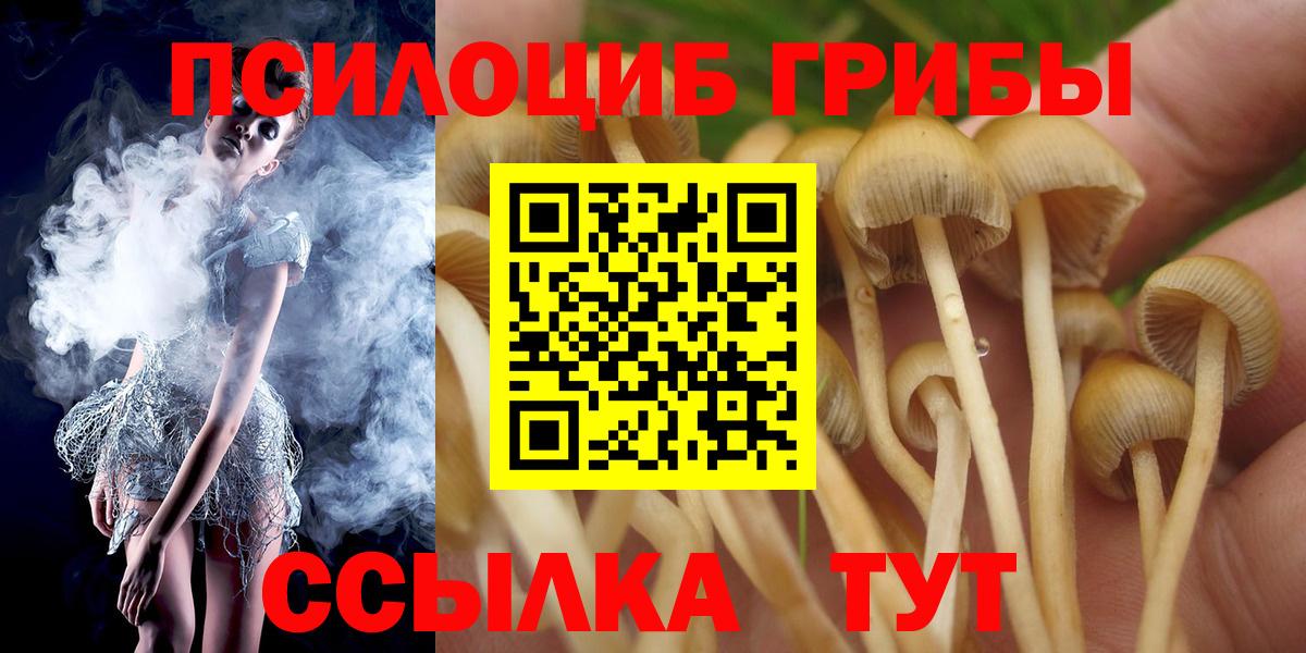 Краснотурьинск  Псилоцибиновые грибы Psilocybe  Псилоцибиновые грибы MAGIC MUSHROOMS  купить закладку  Вход с VPN 
