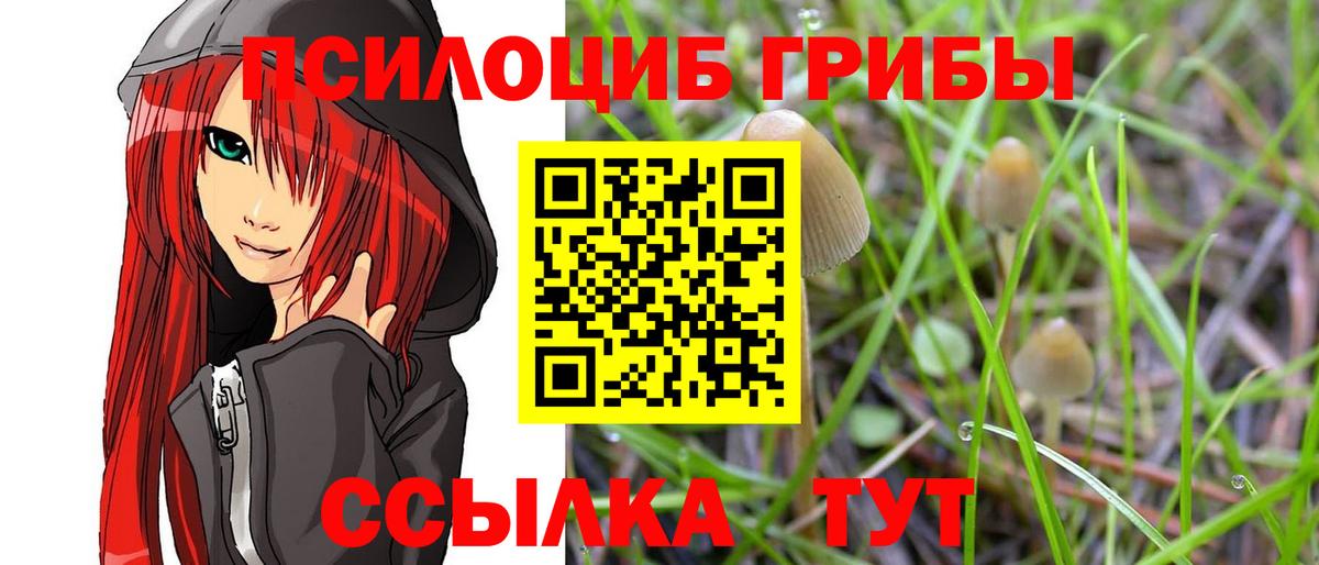 Галлюциногенные грибы Cubensis Краснотурьинск